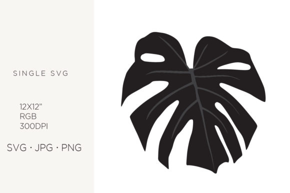 Elevating Digital Design with High-Resolution Tropical Leaf Assets