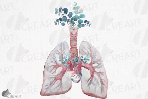 Eucalyptus Anatomical Blush Lungs Heart Art