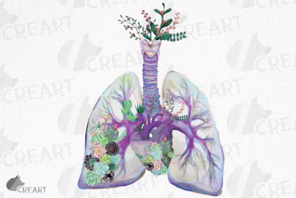 Succulent Anatomical Lungs with Heart Art