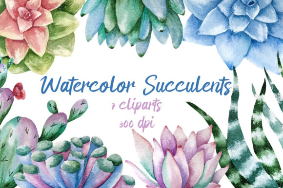 Watercolor Succulent Clipart PNG